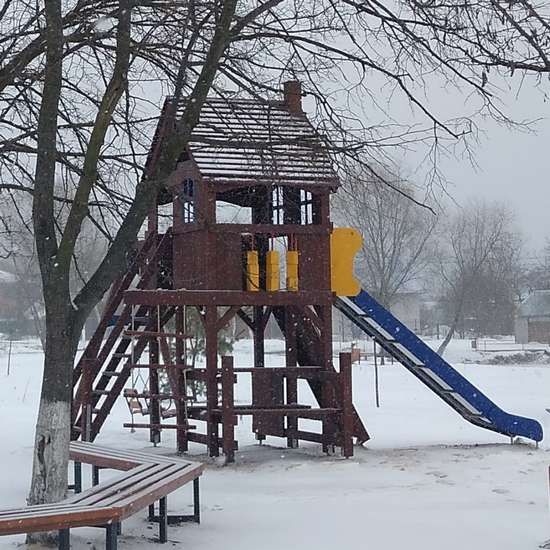 Сайт Дитячий сучасний майданчик з дерева Дача з гойдалками, синій 11001.18 фото зображення